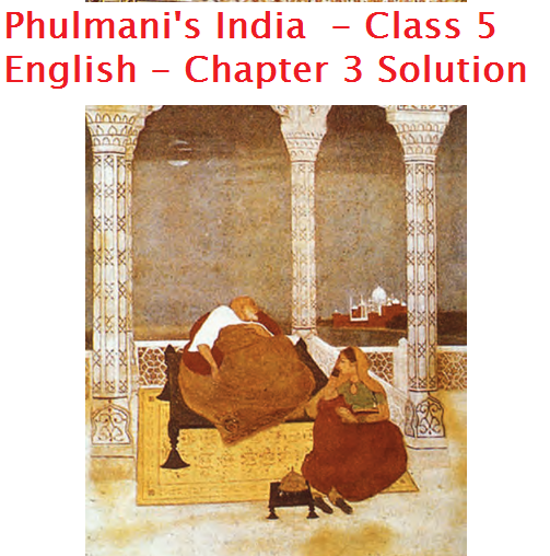 Phulmani's India  - Class 5 English - Chapter 3 Solution